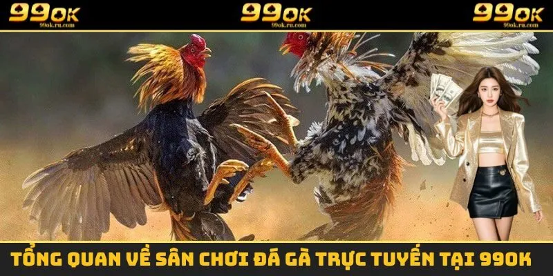 Đá Gà - Loại Hình Giải Trí Được Nhiều Người Yêu Thích Nhất 1 Một vài thông tin cơ bản cần nắm được về sân chơi đá gà tại 99OK