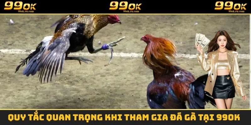 Đá Gà - Loại Hình Giải Trí Được Nhiều Người Yêu Thích Nhất 2 Những quy tắc quan trọng cần nắm vững khi thi đấu đá gà